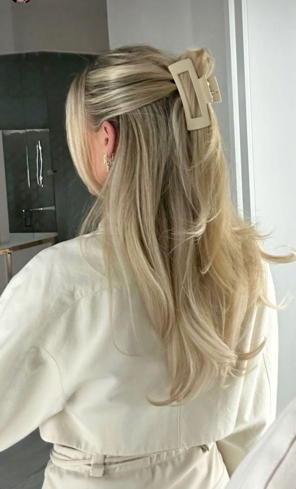 Claw Hair Clips