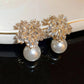 Spark Crystal earrings