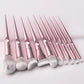 Set de 10 brochas ergonomícas genéricas - Rose Gold