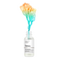 The Ordinary Marine Hyaluronics